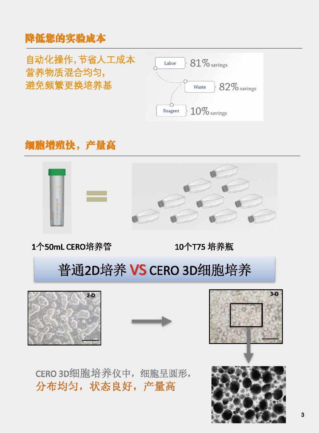 CERO-02.png